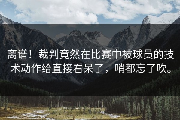 离谱！裁判竟然在比赛中被球员的技术动作给直接看呆了，哨都忘了吹。