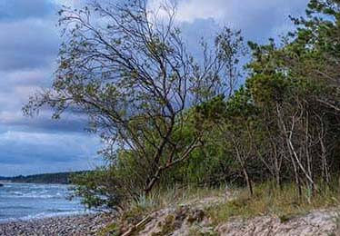 突发！奥运会某个夺金热门项目，因为装备违规被整体取消了成绩。