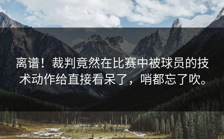 离谱！裁判竟然在比赛中被球员的技术动作给直接看呆了，哨都忘了吹。